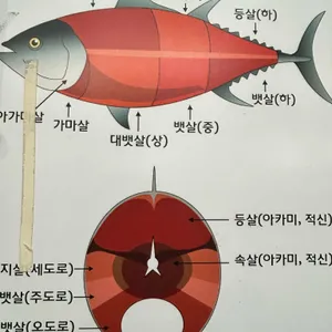 임채환참치정육점 리뷰 사진