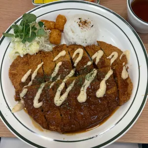 국수나무 사진