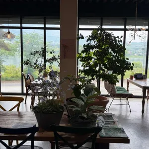 비.마이 가든 대표 사진