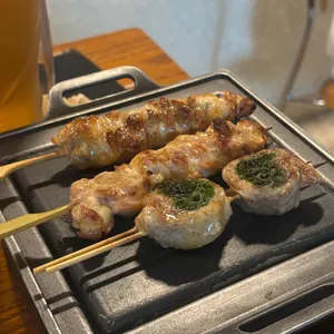탄주 사진 2