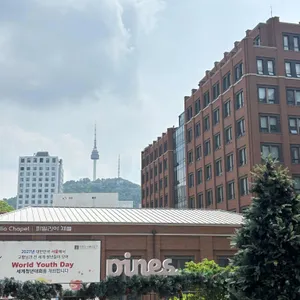 파인즈 사진 2
