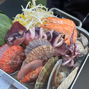 바차 사진