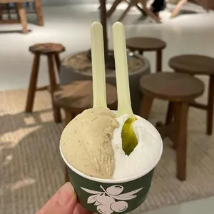 올리비아떼 사진 2
