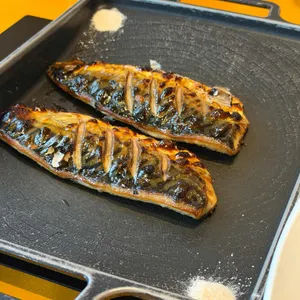 금등어 사진 1