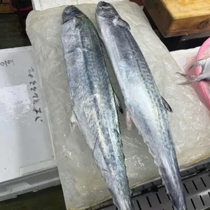 동식이네 사진 2