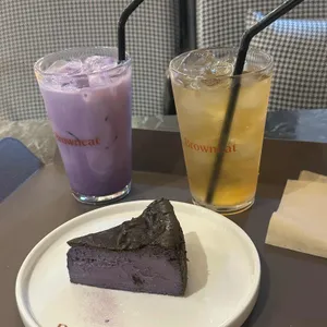 브라운캣 사진