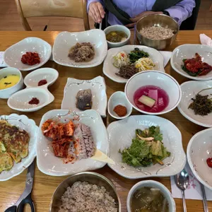 벽오동 사진 1