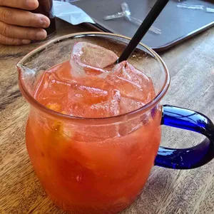 온숲 사진 1