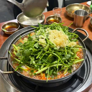 부산 갈매기 사진