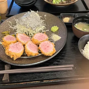 엘리카츠 대표 사진
