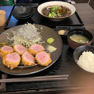 엘리카츠 대표 사진