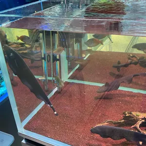아쿠아가든 리뷰 사진