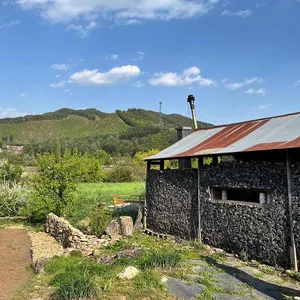 이가본때 사진 1