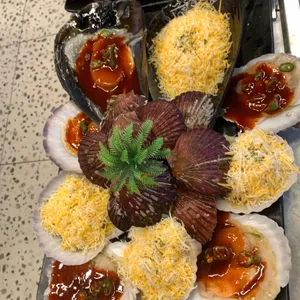 오아시스조개 사진 1