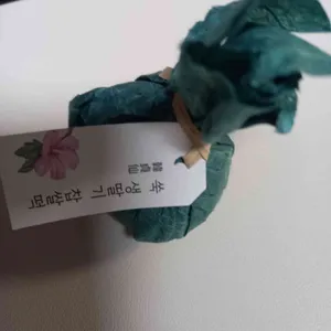 한정선 대표 사진