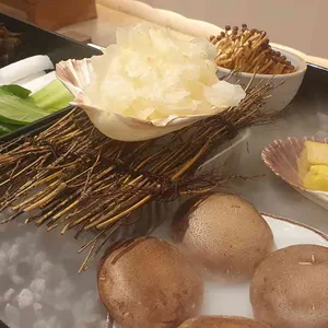 노야 사진 1