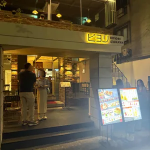 비요리 사진