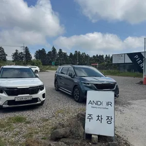 안도르 리뷰 사진
