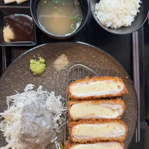 엘리카츠 대표 사진
