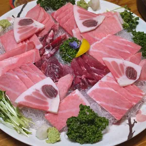 본참치 사진