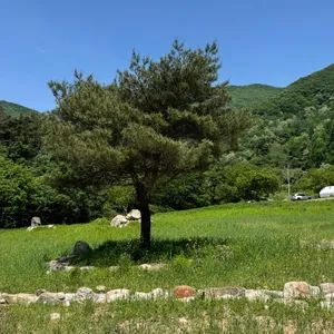 온다인 사진 2