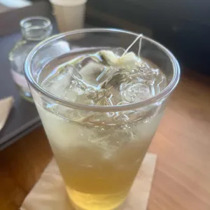 로빈포레스트 사진