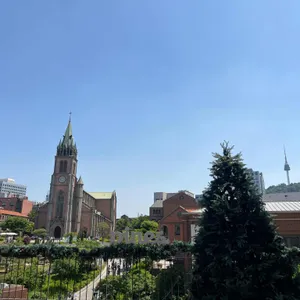 파인즈 대표 사진