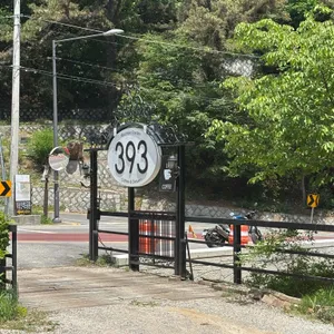 카페 393 사진 1
