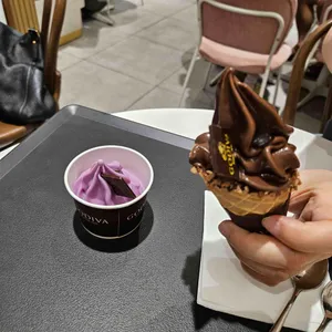 고디바 대표 사진