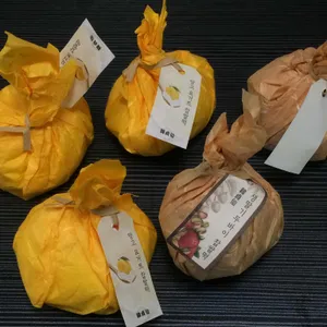 한정선 녹 사진 2