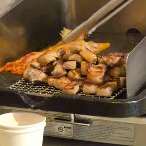 갑돼지 사진 1