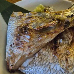 이와자루 대표 사진