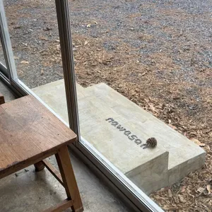 나와산 사진 1