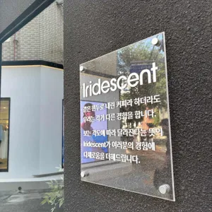 이리데센트 사진 1