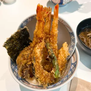 코카모메 사진 1