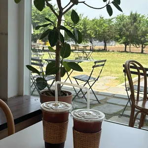 이숲 대표 사진