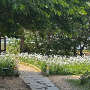 이숲 대표 사진