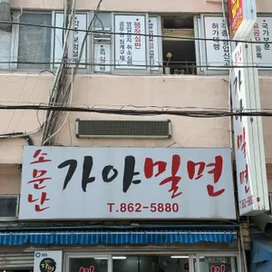 소문난가야밀면 대표 사진