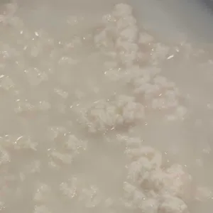콩서리 대표 사진