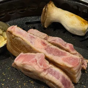도톰 대표 사진