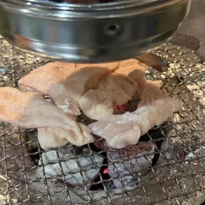 털보네꼼장어 사진 2