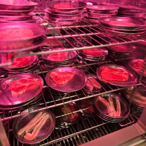 대통령1+ 대표 사진