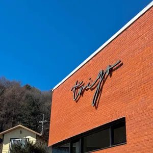 트리고 대표 사진