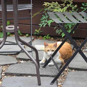 카페 한채 리뷰 사진