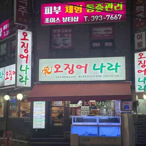 오징어나라 사진 1