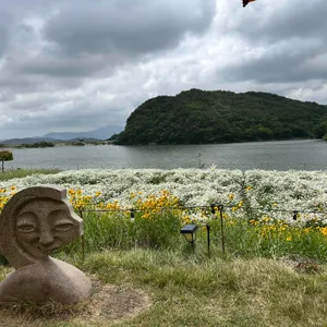 바실라 대표 사진