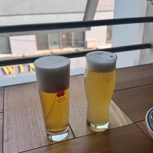 서울집시 퍼멘테리아 사진