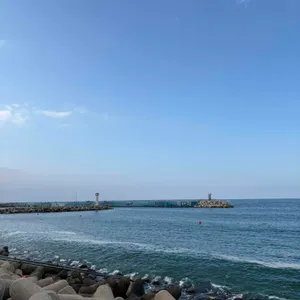 스타대게 리뷰 사진