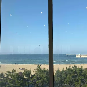 트리고 리뷰 사진