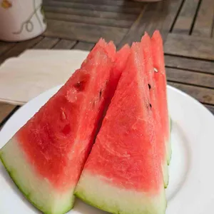 파티오 사진
